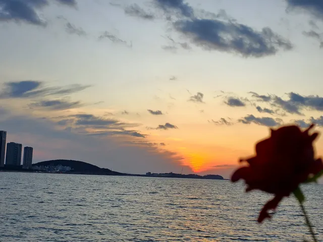 晴天來這片海,美到失語!! 晴天來這片海,美到失語!!