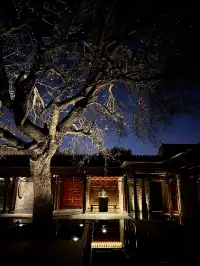 北京冬天 個胡同深處的大隱隱於市 