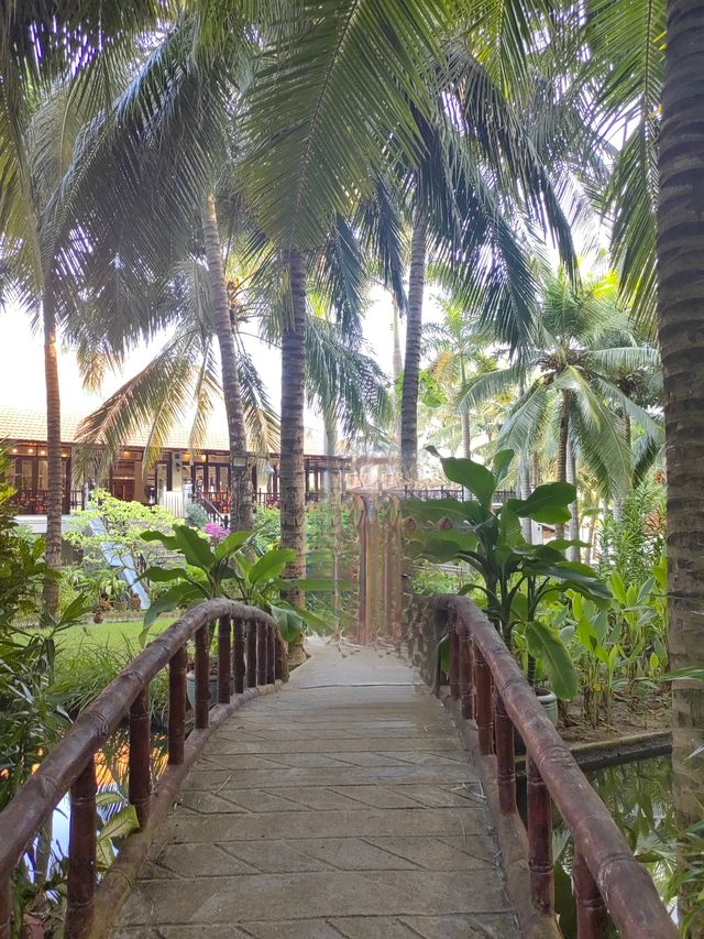 越南美奈｜椰林白浪間的絕美度假天堂  必去理由 一半沙漠一半海！東南亞小眾秘境美到窒息！ 