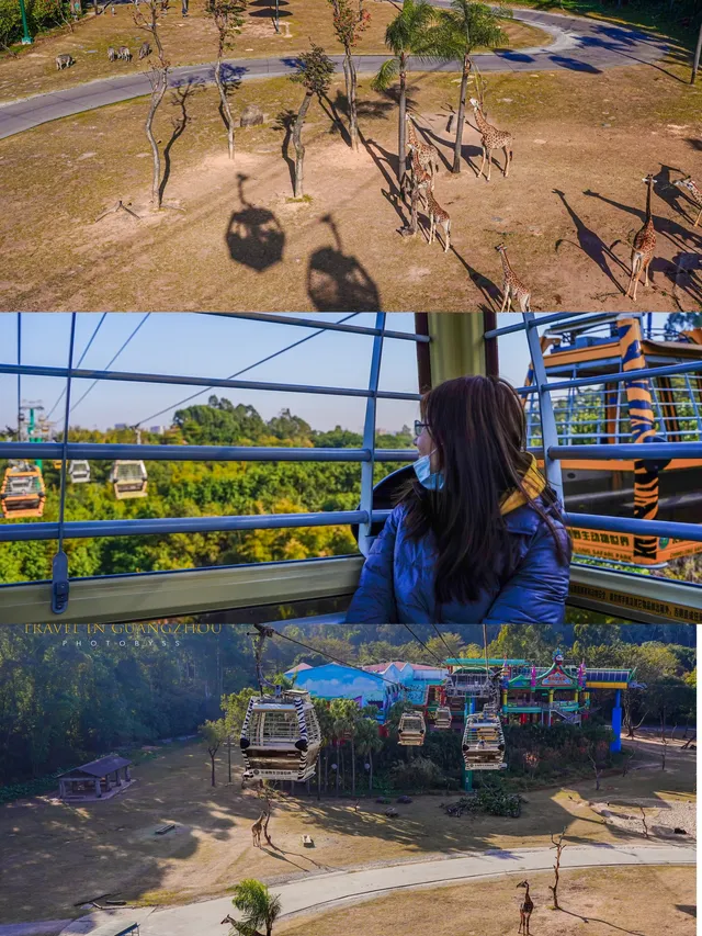 廣州長隆攻略1.5天玩透動物園，不走回頭路