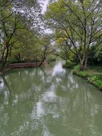 煙雨江南!西溪濕地一日暴走精華攻略含陰雨天絕美機位! 西溪濕地可是杭州的綠肺!坐船穿梭蘆葦蕩,