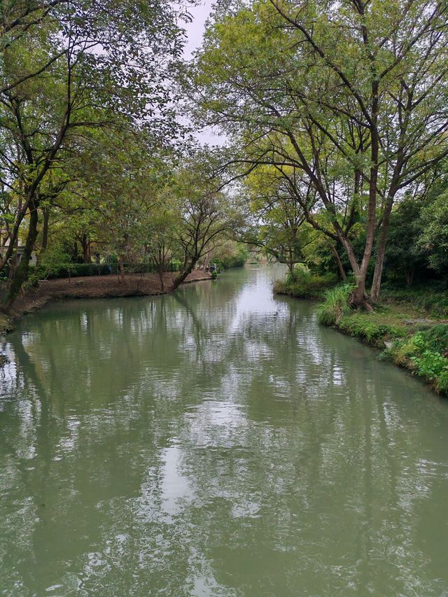 煙雨江南!西溪濕地一日暴走精華攻略含陰雨天絕美機位! 西溪濕地可是杭州的綠肺!坐船穿梭蘆葦蕩, 煙雨江南!西溪濕地一日暴走精華攻略含陰雨天絕美機位! 西溪濕地可是杭州的綠肺!坐船穿梭蘆葦蕩,