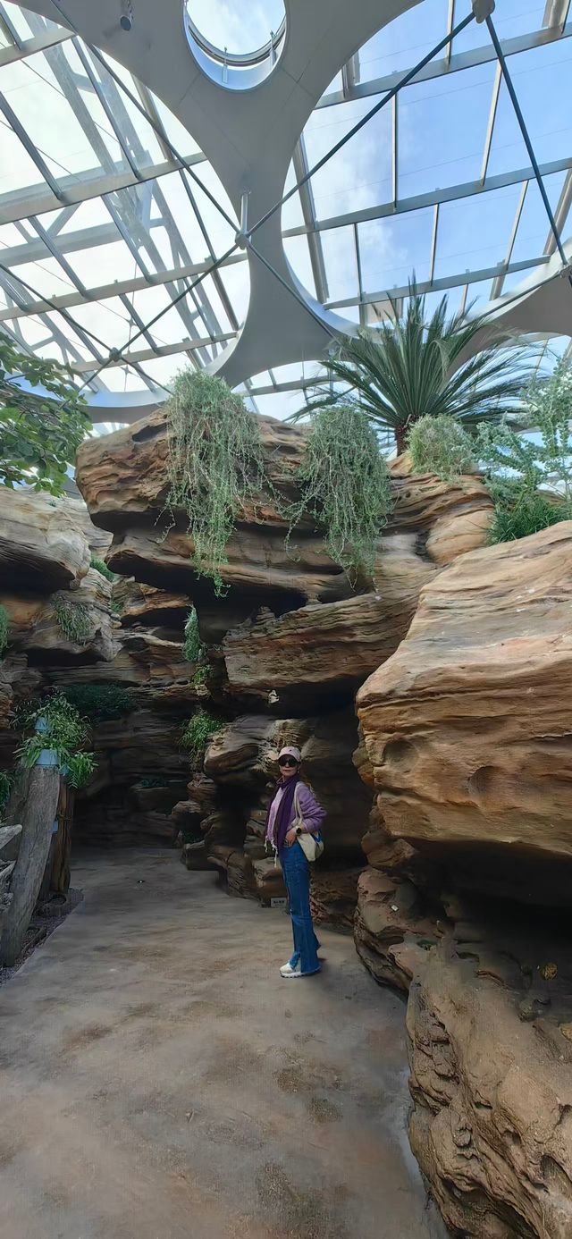 魔都打卡日記世博溫室花園+3號倉庫美食探店 魔都打卡日記世博溫室花園+3號倉庫美食探店