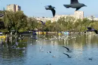 如果冬天只想去一個城市,那就是昆明