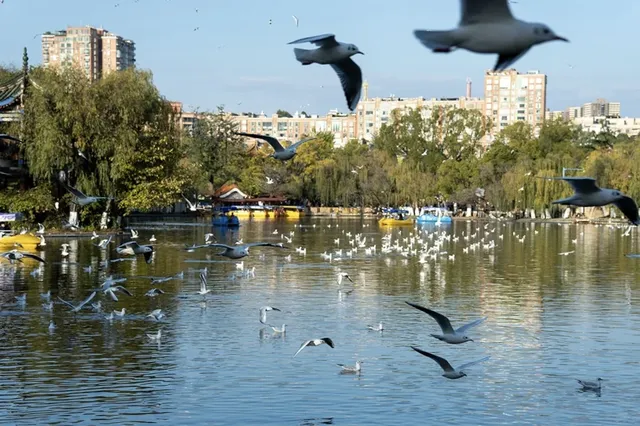 如果冬天只想去一個城市,那就是昆明 如果冬天只想去一個城市,那就是昆明