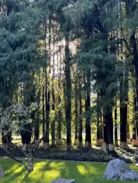 昆明漫遊記day3在翠湖發呆也太舒服了吧!