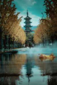 龍華古鎮賞秋攻略