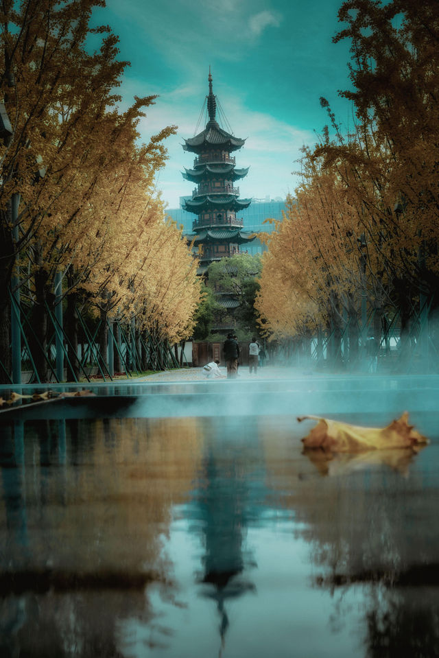 龍華古鎮賞秋攻略 龍華古鎮賞秋攻略