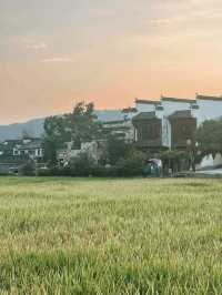 黃山遛娃!齊雲山2-3h輕鬆遊,索道直達不費媽還出片