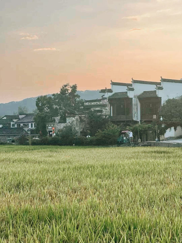 黃山遛娃!齊雲山2-3h輕鬆遊,索道直達不費媽還出片 黃山遛娃!齊雲山2-3h輕鬆遊,索道直達不費媽還出片