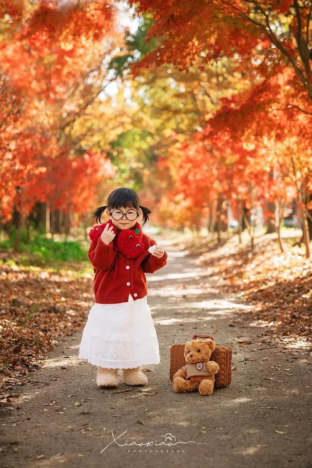 上海這裡的楓葉已經next level！附打卡路線