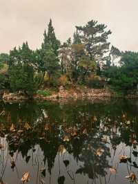 上海 | 葉家花園