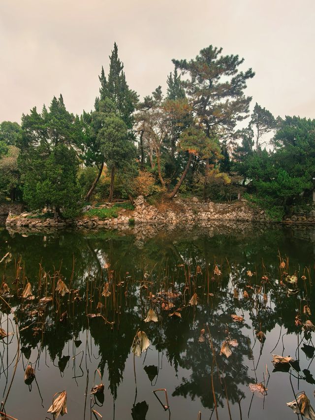 上海 | 葉家花園