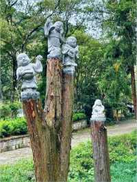 12月諸暨五泄|水墨瀑布藏禪意,小眾冬日秘境超治癒