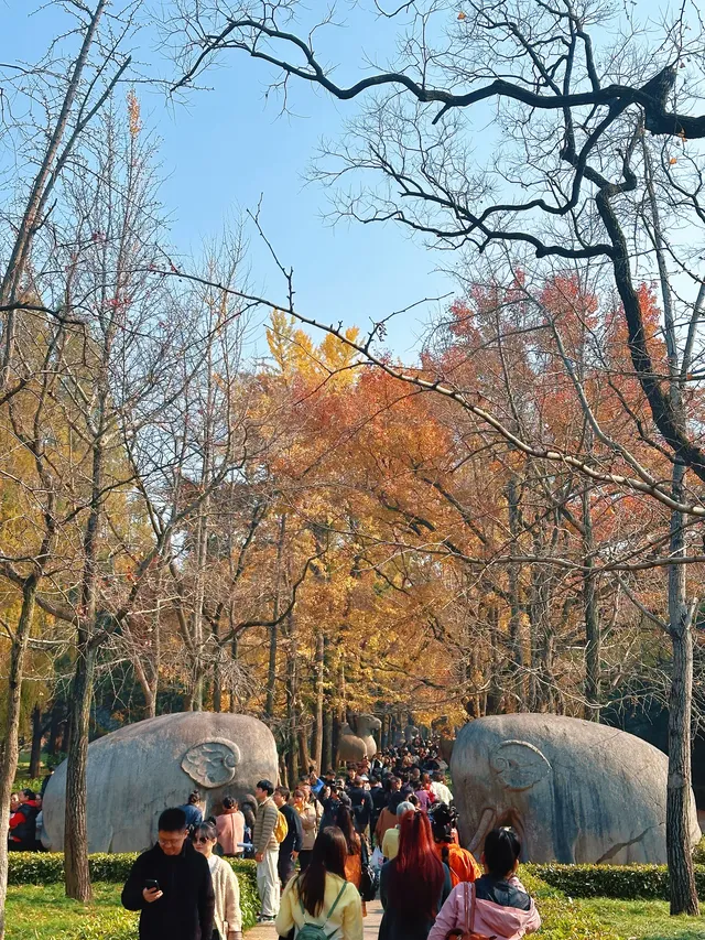 賞秋最美南京|鐘山風景區一天遊 賞秋最美南京|鐘山風景區一天遊