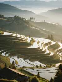 雲和梯田親子冬遊|免排隊看霧淞日出攻略