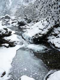 12.13峨眉山現場實況,真的崩潰了