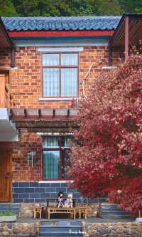 郴州資興|在森林裡遇見了東江湖晨霧