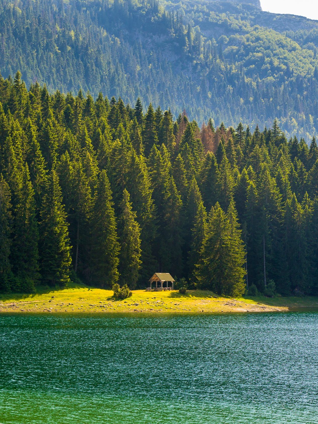 Visa-free travel to Serbia and multiple countries during the New Year—miss it and wait a whole year