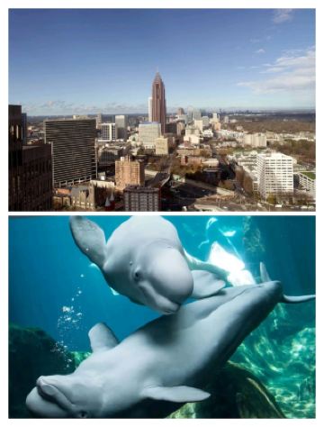 The Atlanta Marriott Marquis Hotel: An architectural marvel straight out of a sci-fi movie