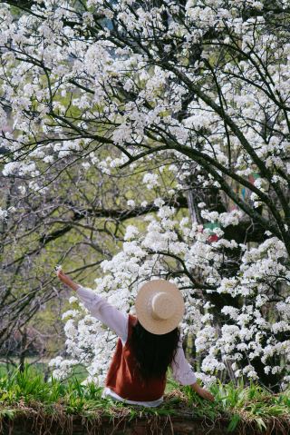 聖なるガンツ春の巡礼