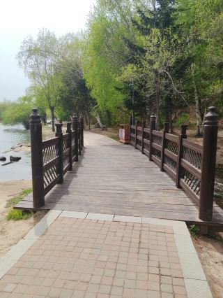 Suihua's Hidden Gem: Jinhao Hotel – A Hotel with an Entire Travel Atmosphere. Location: No. 369 Huanghe Road, Beilin District, Suihua City (Wanda Plaza Branch of the Municipal Government).
