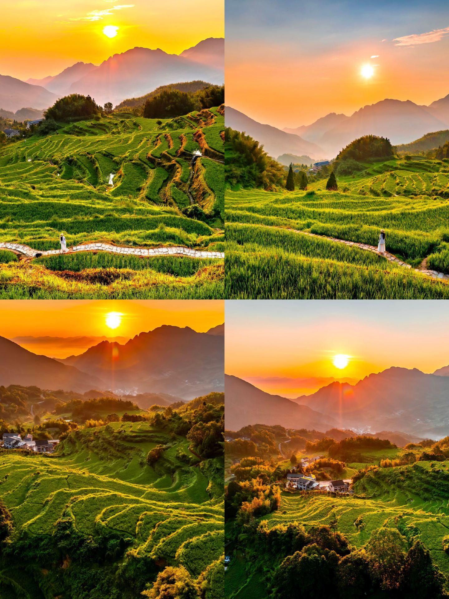 Must-Visit from April to June! Yunhe Terraces Watering Period, Every Snap is an Ink Painting