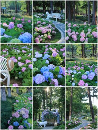 超トップクラスの無限夏の秘境｜常熟尚湖風景区