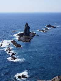 日本北海道7天｜承包花海、煙火與百萬夜景