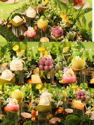 A hidden gem of a forest-themed hotel in Baotou! The afternoon tea on the terrace is absolutely amazing.