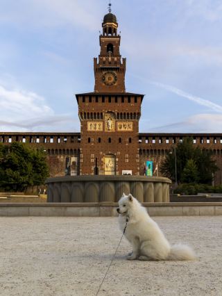 [Italy Travel Diary] So glad I made it in my 20s! A 7-day Rome & Milan journal, healed by history and art.