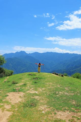 피서 판다핑｜2일 1박 20℃ 산속으로 피신하니 너무 시원해요
