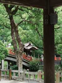 暑假必去6日日本旅行規劃速看