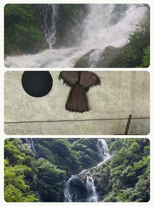 帶爸媽玩城不累攻略,親測省心