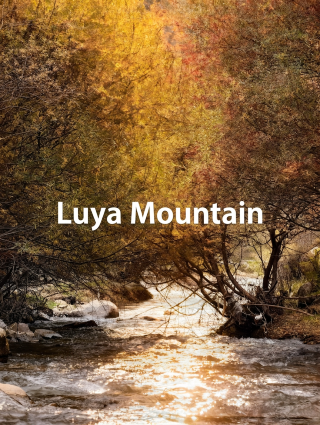 Northern Shanxi's Hidden Autumn Gem | 3-Day Xinwu Line Road Trip: Experience Wild Autumn Beauty Without Traveling to Xinjiang