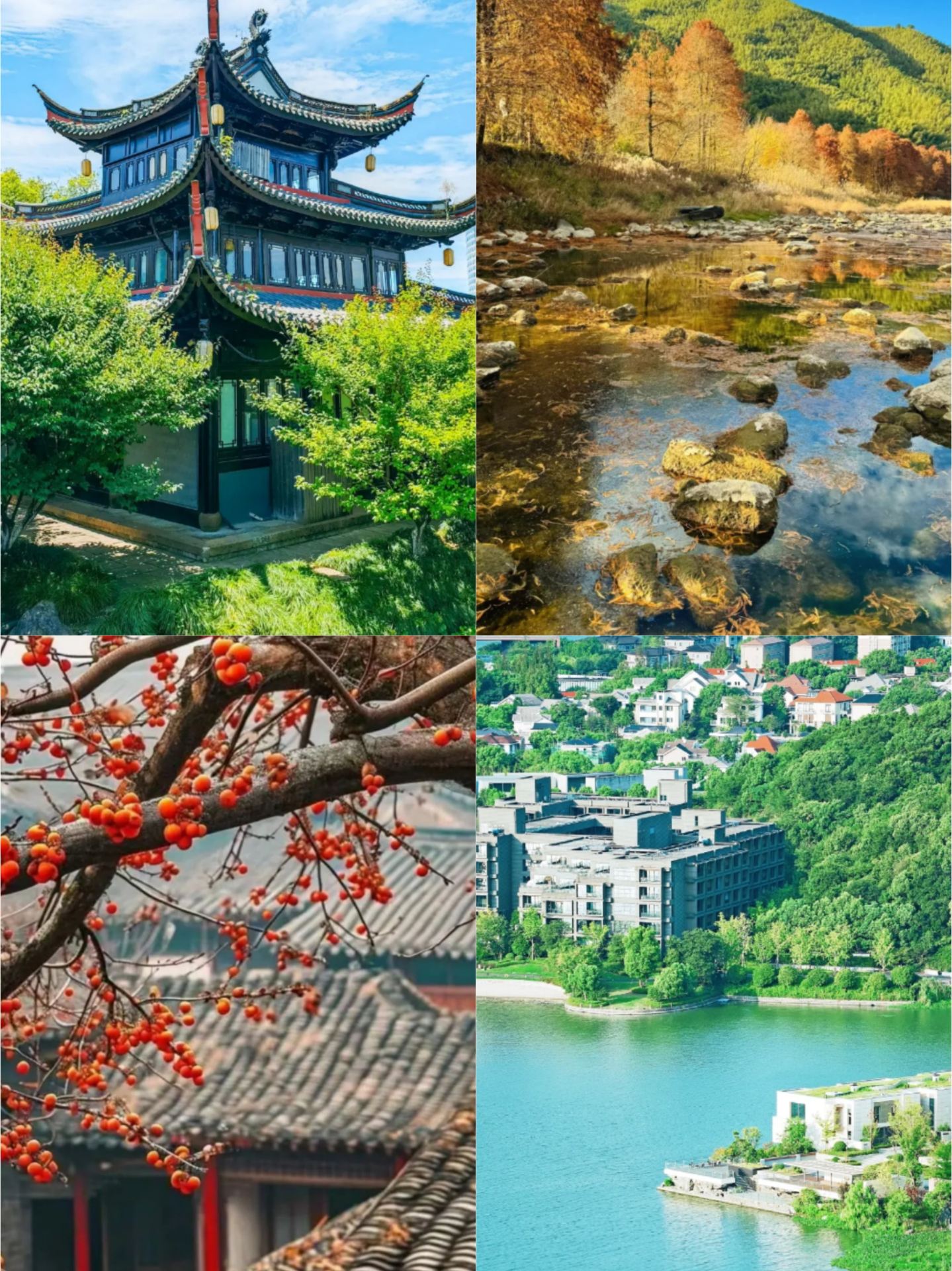 저는 이미 닝보에서 고생하고 집으로 돌아왔습니다. 9월이나 10월에 이곳에 오는 것은 정말 추천하지 않습니다.