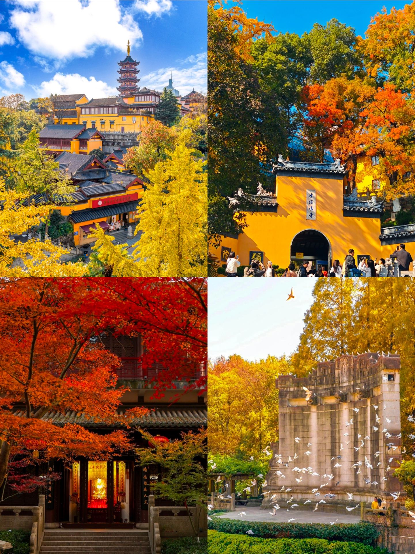 5 จุดชมใบไม้เปลี่ยนสีสุดสวยใกล้มณฑลเจียงซู เจ้อเจียง และเซี่ยงไฮ้ ห่างจากหนานจิงเพียงหนึ่งชั่วโมง! เหมาะสำหรับทริปพักผ่อนสุดสัปดาห์!