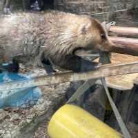 入場料 大人500円！大満足 天王寺動物園