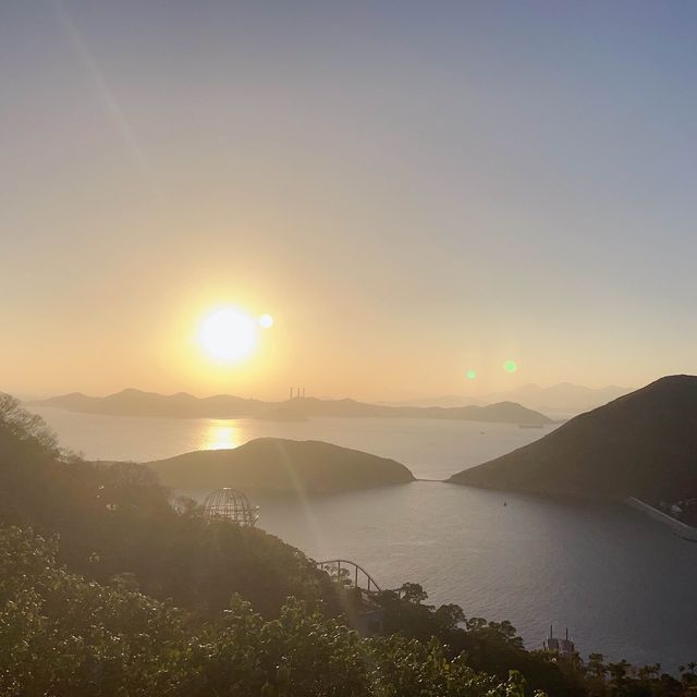 重返18歲:令人意猶未盡的地方-海洋公園