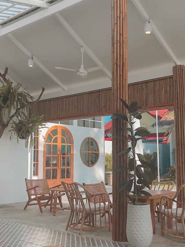 หนีแมวมา 𝙑𝙤𝙣𝙜𝙤𝙡𝙚. 𝙗𝙚𝙖𝙘𝙝 𝙘𝙖𝙛𝙚 🏝