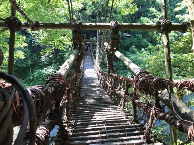 四國景點！日本三大秘景之一，大步危，大步踏過祖谷藤蔓橋🌉