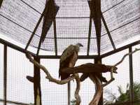 House of rescued animals@ Safari Lagoi Bintan