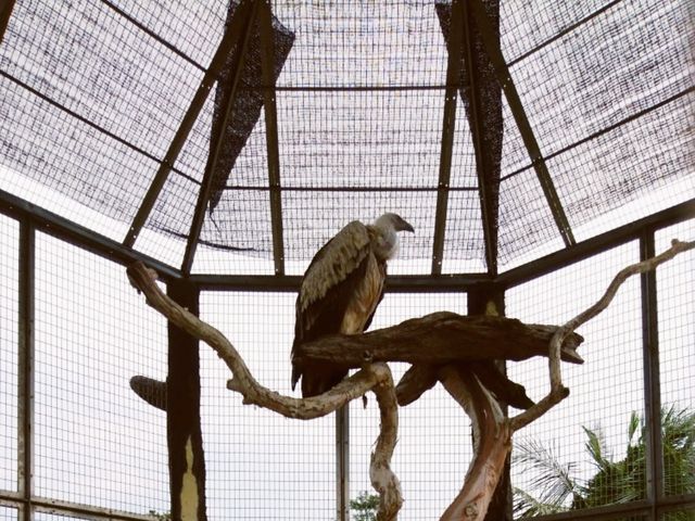 House of rescued animals@ Safari Lagoi Bintan