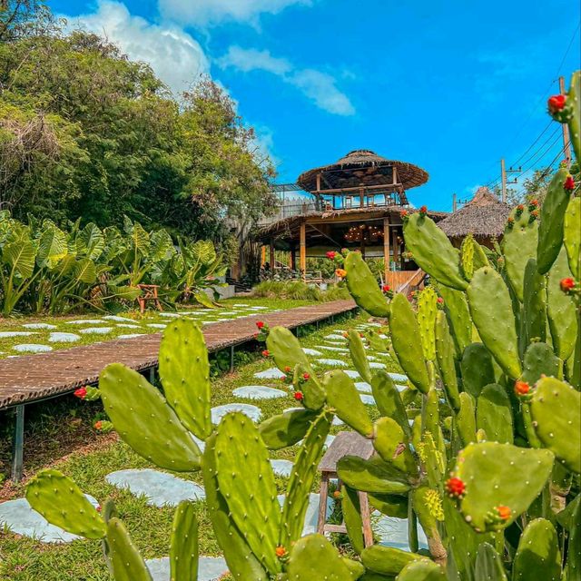 คาเฟ่สไตล์บาหลีปากช่อง มุมถ่ายรูปเพียบ📸