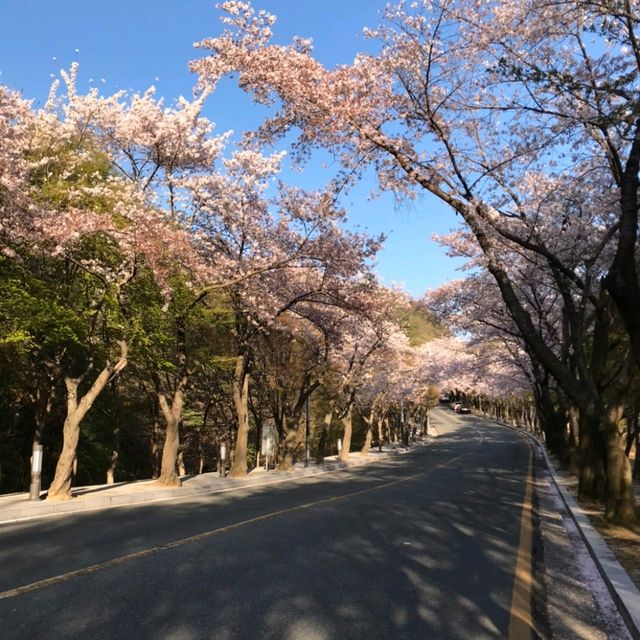 大邱八公山