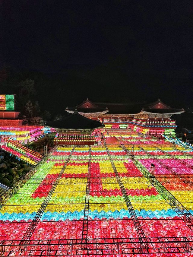 CNN선정 한국의 아름다운 명소, 삼광사 연등축제🪷✨️