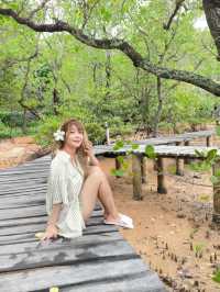 หนีแมวไป Seashell Village Beach Resort  🐚