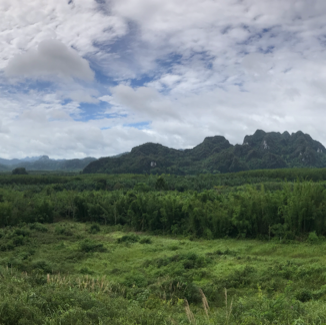 อุทยานแห่งชาติเขาสก สุราษฏร์ธานี