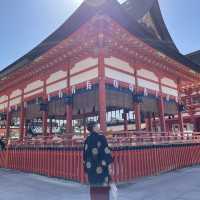 京都👘和服🍁偽•楓葉之旅