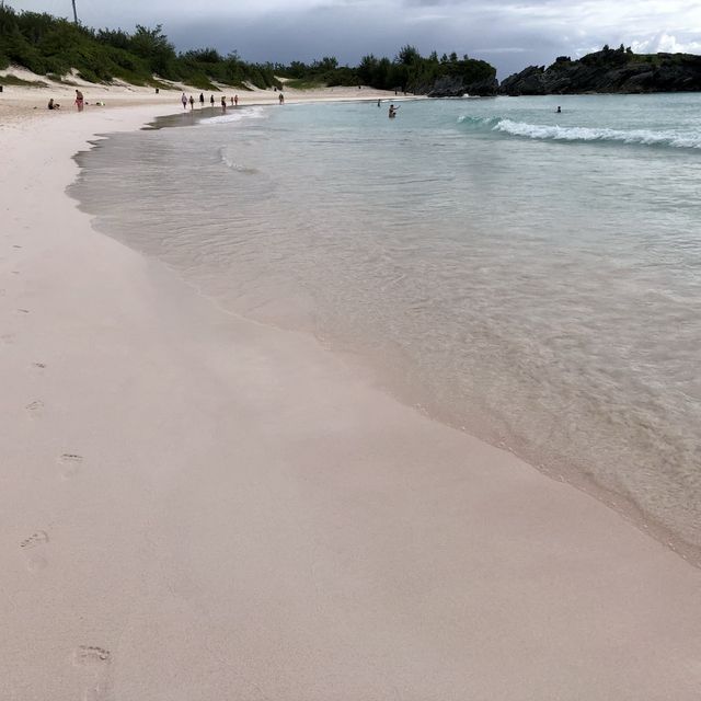 【バミューダ】ピンクの砂浜が可愛いビーチ⛱️